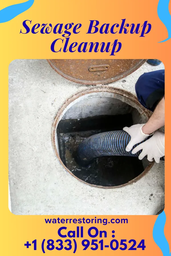 Sewage Backup Cleanup in Church Creek, MD