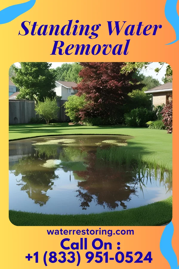 Standing Water Removal in Church Creek, MD